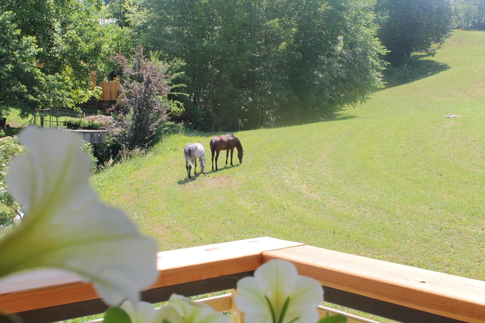 House Gabrijel With Four Seasons Outdoor Kitchen Villa Bled Buitenkant foto